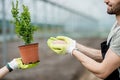 Farmer holding mineral fertilizers with green plant Royalty Free Stock Photo