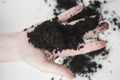 A pile of soil in female hands Royalty Free Stock Photo