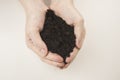 A pile of soil in female hands Royalty Free Stock Photo