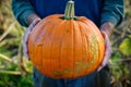 farmer holding a prizewinning pumpkin Royalty Free Stock Photo