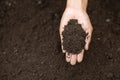 Farmer holding soil in hands close up.  Farmer is checking soil Royalty Free Stock Photo