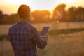 Farmer holding tablet in field at sunset Royalty Free Stock Photo