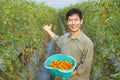 Farmer holding tomato on his farm