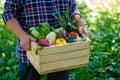 Farmer holding wooden box with fresh vegetables. Crate with harvest Royalty Free Stock Photo