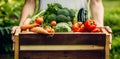 Farmer holding wooden box full of fresh raw vegetables. Basket with vegetable in the hands. Concept of bio products, bio ecology, Royalty Free Stock Photo