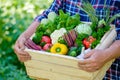 Farmer holding wooden box full of fresh vegetables in his hands. Close-up view. Harvesting concept Royalty Free Stock Photo