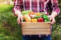 Farmer holds in hands wooden box with autumn crop of organic vegetables against backyard background