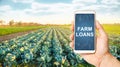 Farmer holds a phone with Farm loans on background of a cabbage plantation. Subsidies financial support to farmers in crisis Royalty Free Stock Photo