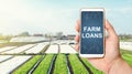 Farmer holds a phone with Farm loans on background of landscape potato plantations. Anti-crisis measures, debt restructuring and