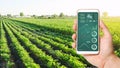 The farmer holds a phone and receives information parameters and data from agricultural field. Advanced technologies