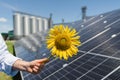 Farmer holds sunflower on a background of solar panel and agricultural silos Royalty Free Stock Photo