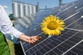 Farmer holds sunflower on a background of solar panel and agricultural silos Royalty Free Stock Photo
