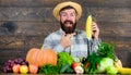 Farmer with homegrown harvest. Farmer rustic villager appearance. Grow organic crops. Man cheerful bearded farmer hold Royalty Free Stock Photo