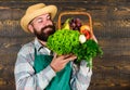 Farmer with homegrown vegetables in basket. Man bearded farmer presenting eco vegetables wooden background. Fresh Royalty Free Stock Photo