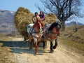 Farmer with horse and carriage hay in Romania Royalty Free Stock Photo