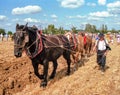 Farmer and Horses Ploughing Field in France Royalty Free Stock Photo