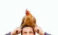 The farmer hugs a chicken on white background. pleasant man is hugging a cock. close up