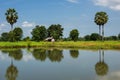 Farmer hut in tropical farm with pond reflection Royalty Free Stock Photo
