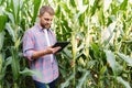 Farmer inspecting corn field and looking away