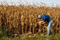 Farmer Inspecting Corn FIeld