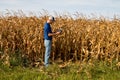 Farmer Inspecting Corn Field
