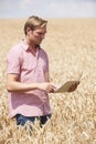Farmer Inspecting Crops In Field Using Digital Tablet