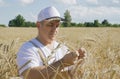 A farmer inspects a field with growing wheat, checks the quality of the grain. Royalty Free Stock Photo