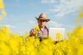 A farmer inspects rapeseed Royalty Free Stock Photo