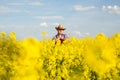 A farmer inspects rapeseed Royalty Free Stock Photo