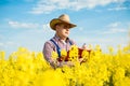 Farmer inspects rapeseed Royalty Free Stock Photo