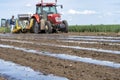 Farmer Installing Drip Tape Irrigation Under Plastic Mulch on a Vegetable Bed Royalty Free Stock Photo