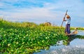 The farmer in Kayak, Inle Lake, Myanmar