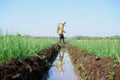 Farmer at Kretek Bantul Yogyakarta