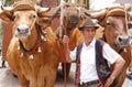 Farmer in La Orotava, Tenerife with oxen, romeria or country festival Royalty Free Stock Photo