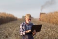 Farmer with laptop at corn harvest Royalty Free Stock Photo