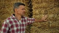 Farmer lean hay stack at farmland closeup. Pensive man inspecting wheat harvest Royalty Free Stock Photo