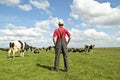 Farmer looking at his cows