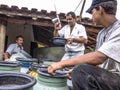 Farmer makes quality test of freshly milked milk to be sent to the dairy industry