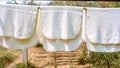 Farmer making rubber sheets hang on bamboo process dry by solar energy . A raw rubber latex flat to dry. Rubber sheet is a raw ma