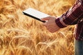 Farmer man in cereal field with digital tablet in hand. The use of modern computer technology for the calculation and planning Royalty Free Stock Photo