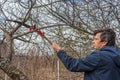 Farmer man with garden saw for cutting branches of cherry bush overgrown with lichen. Pruning of fruit trees with lopper. Spring Royalty Free Stock Photo