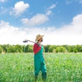 Farmer man with hoe looking at his field Royalty Free Stock Photo