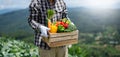 Farmer man holding wooden box full of fresh raw vegetables. Basket with fresh organic vegetable  and peppers in the hands Royalty Free Stock Photo