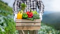 Farmer man holding wooden box full of fresh raw vegetables. Basket with fresh organic vegetable  and peppers in the hands Royalty Free Stock Photo