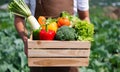 Farmer man holding wooden box full of fresh raw vegetables. Basket with fresh organic vegetable and peppers in the hands Royalty Free Stock Photo