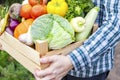 Farmer man holding wooden box full of fresh raw vegetables in his hands. Basket with vegetable in the hands Royalty Free Stock Photo