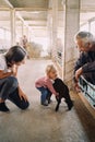 Farmer man and mother watching little girl trying to hug baby goat