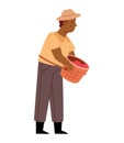 farmer man picking coffee in basket Royalty Free Stock Photo