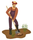 Farmer man with shovel is digging potato in garden. Vector Royalty Free Stock Photo