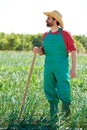 Farmer man working in onion orchard with hoe Royalty Free Stock Photo